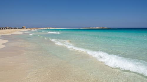 Egito-El Alamein-Verão 26-Partida do Porto