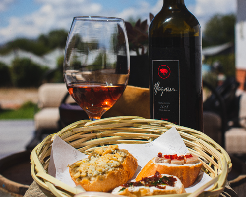 Ruta del Vino y Singani en el sur