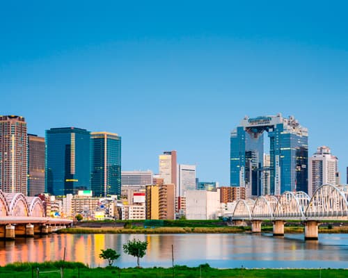 SUPER JAPON  (TOKYO-TOKYO) - EXCLUSIVO SPECIAL TOURS (Lunes)