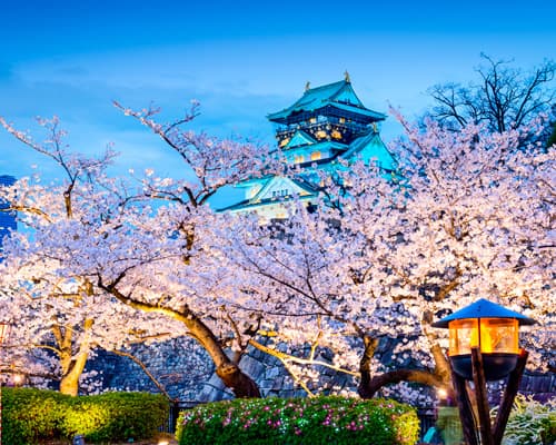 Osaka, Alpes Japoneses y Tokio (2025)