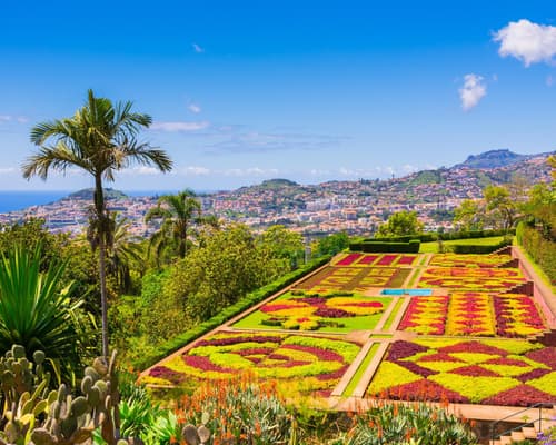  Flydrive kleurrijk Madeira - 8 dagen