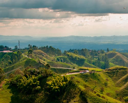 The Best of the Eje Cafetero from Armenia 