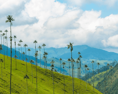 The best of Eje Cafetero from Pereira