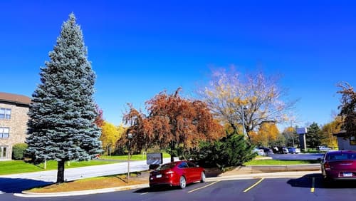 Hawthorn Extended Stay by Wyndham Green Bay, Garden