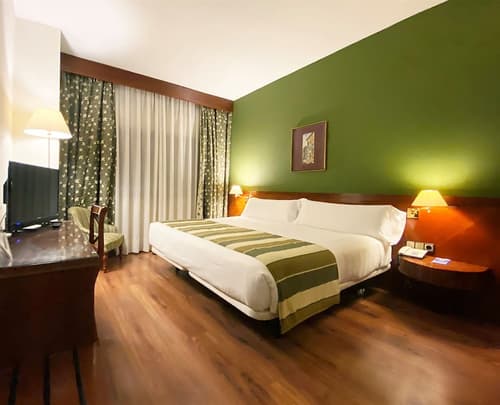 Hotel Torremangana, Room