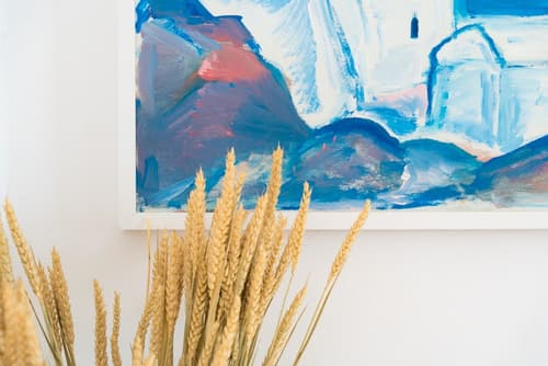 Rhenia Mykonos, Reception