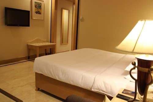 The Hans Hotel New Delhi, Room