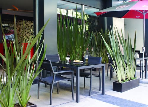 Regente Hotel, Outdoor dining