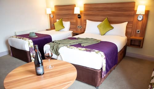 Maldron Hotel, Oranmore Galway, Room