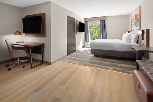 La Quinta Inn & Suites by Wyndham Memphis I-240, Room