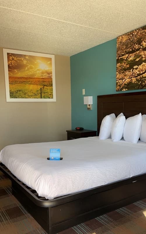 Days Inn & Suites by Wyndham Springfield on I-44, Room
