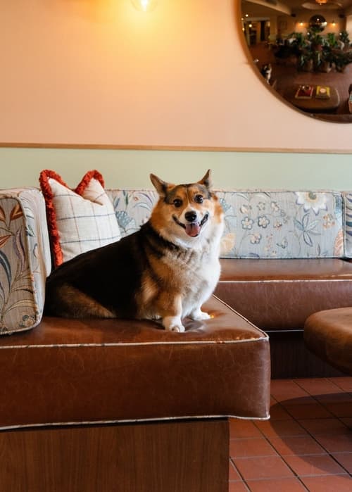 ARRIVE Albuquerque, Reception