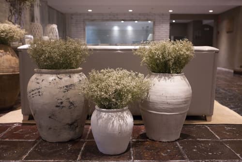 Hotel Luze El Toro, Lobby sitting area