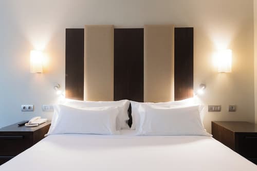 Hotel Ciudad de Valladolid, Room