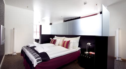 Home Hotel Arcticus, Room