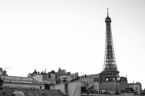 Eiffel Rive Gauche, Reception