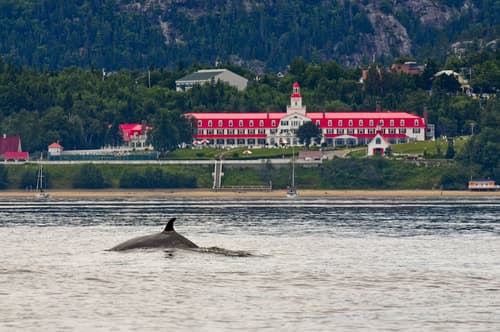 Hôtel Tadoussac, Primary image