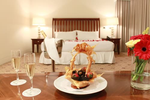 Hotel Torremayor Lyon, Room