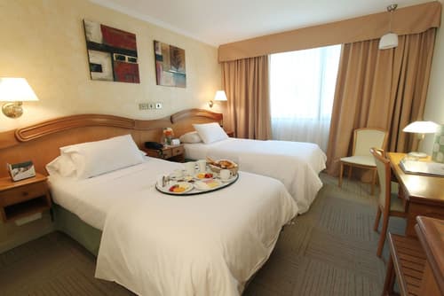 Hotel Torremayor Lyon, Room