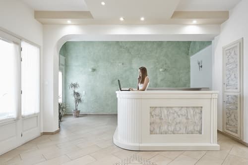 Nissos Thira Hotel, Reception