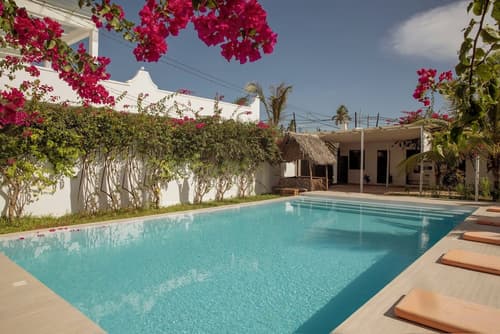 Paje White House, Primary image