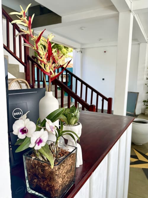 Smeralda Resorts Dikwella, Reception