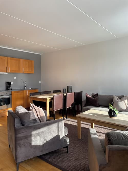 Hovdestøylen Apartments, Private kitchen