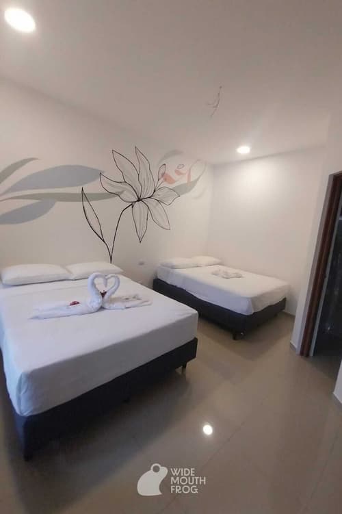 Wide Mouth Frog Hotel, Room