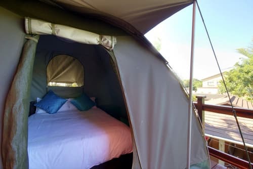 Budget Tented Village at Urban Glamping - Hostel, Room