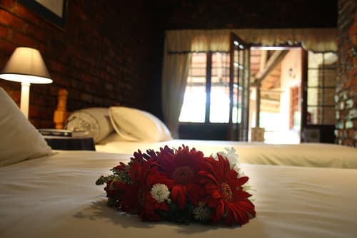 Storms River Guest Lodge, Room