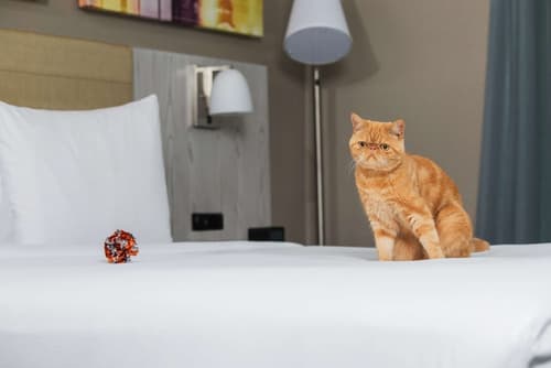 DoubleTree by Hilton New York Times Square West, Room