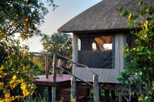 Elephants Lodge - Bellevue Forest Reserve, Room