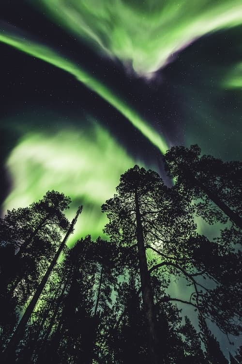 Aurora Village Ivalo, Hiking