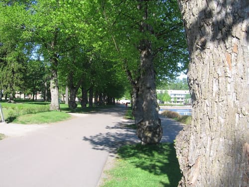Hotelli Lähde, Property grounds