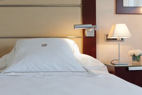 Hotel Andalucia Center, Room