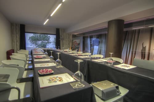 Petit Palace Tamarises, Meeting facility