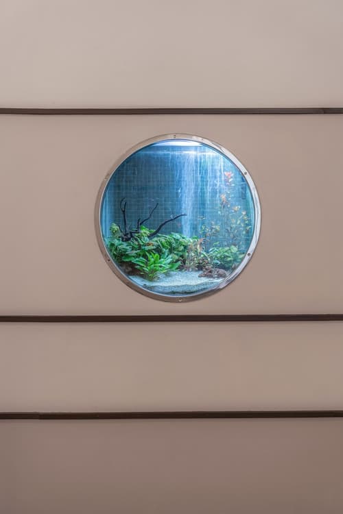 Terra Nostra Garden Hotel, Room