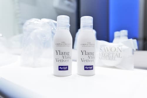 Kyriad Angers Pont De Ce, Room