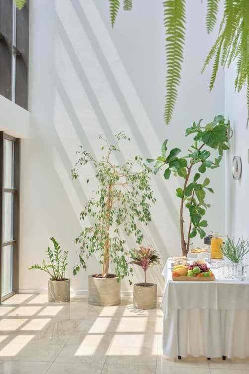 Caloura Hotel Resort, Meeting facility