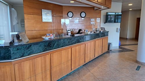 Diego De Almagro Punta Arenas, Reception