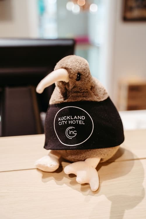 Auckland City Hotel, Reception