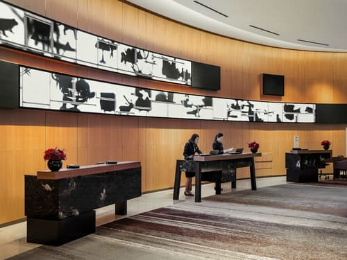 Novotel Ambassador Seoul Yongsan - Seoul Dragon City, Reception