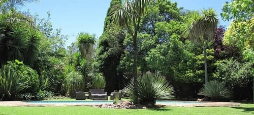 The Pecan Tree, Garden