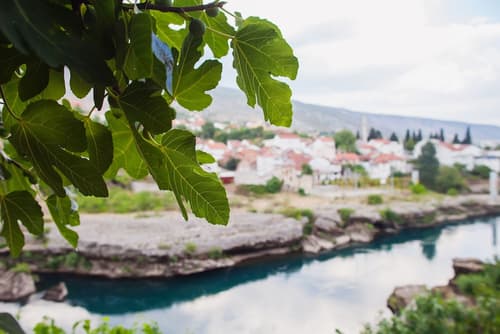Guest House City Star, View from property