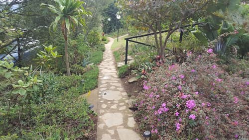 Veki's Village, Reception