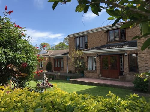 Blue Fern of Knysna, Primary image