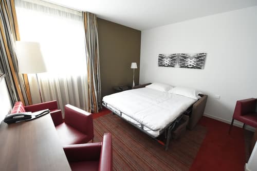 Holiday Inn Mulhouse by IHG, Room