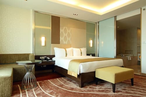Holiday Inn Mumbai International Airport by IHG, Room
