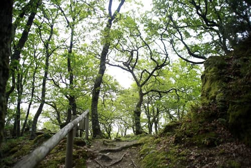 Parador de Santo Estevo, View from room