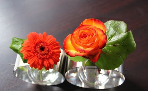 Majestic, Primary image